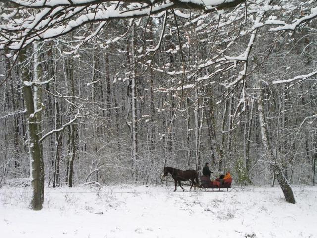 landscape17.jpg